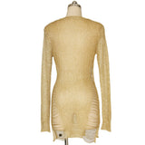 Gold Mesh dress