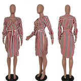 Striped Shirt Dress