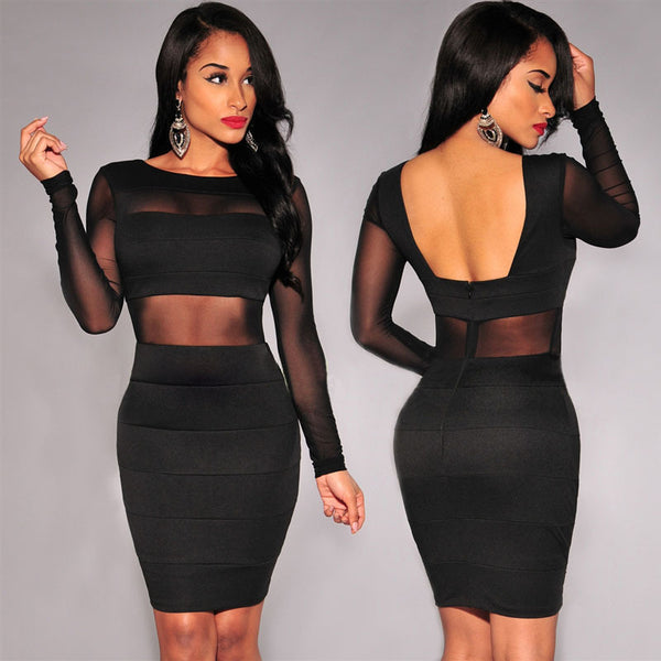 Long Sleeve Mesh Patchwork  Pencil  Dress